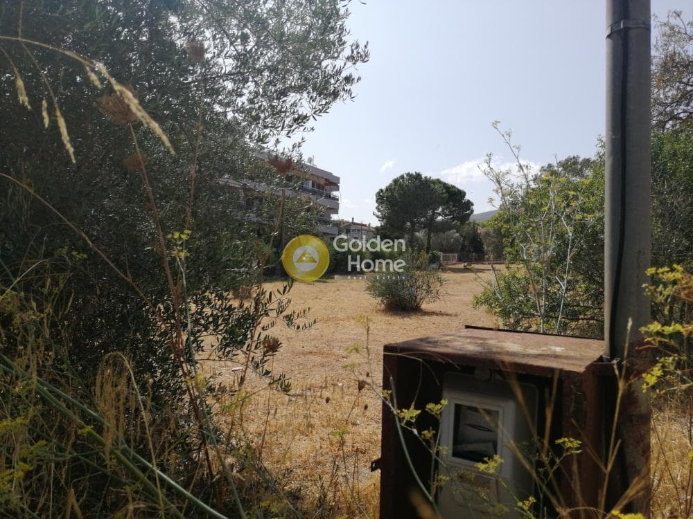 Οικόπεδο στην Ζούμπερι, Νέα Μάκρη — Φωτογραφία 3 από 3