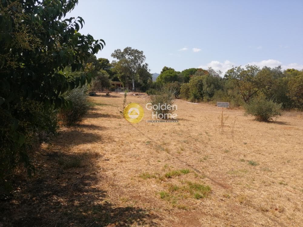 Οικόπεδο στην Ζούμπερι, Νέα Μάκρη — Φωτογραφία 2 από 3