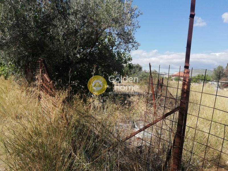 Αγροτεμάχιο στην Μεγάλα Σχοινία Α, Αχαρνές — Φωτογραφία 5 από 5