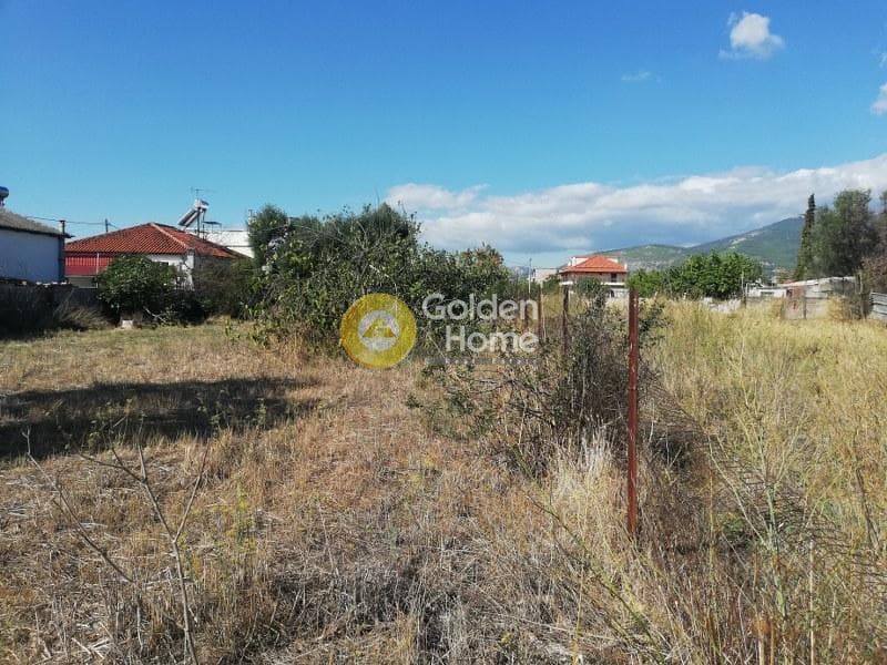 Αγροτεμάχιο στην Μεγάλα Σχοινία Α, Αχαρνές — Φωτογραφία 3 από 5
