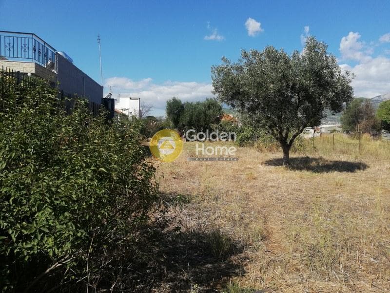 Αγροτεμάχιο στην Μεγάλα Σχοινία Α, Αχαρνές — Φωτογραφία 2 από 5
