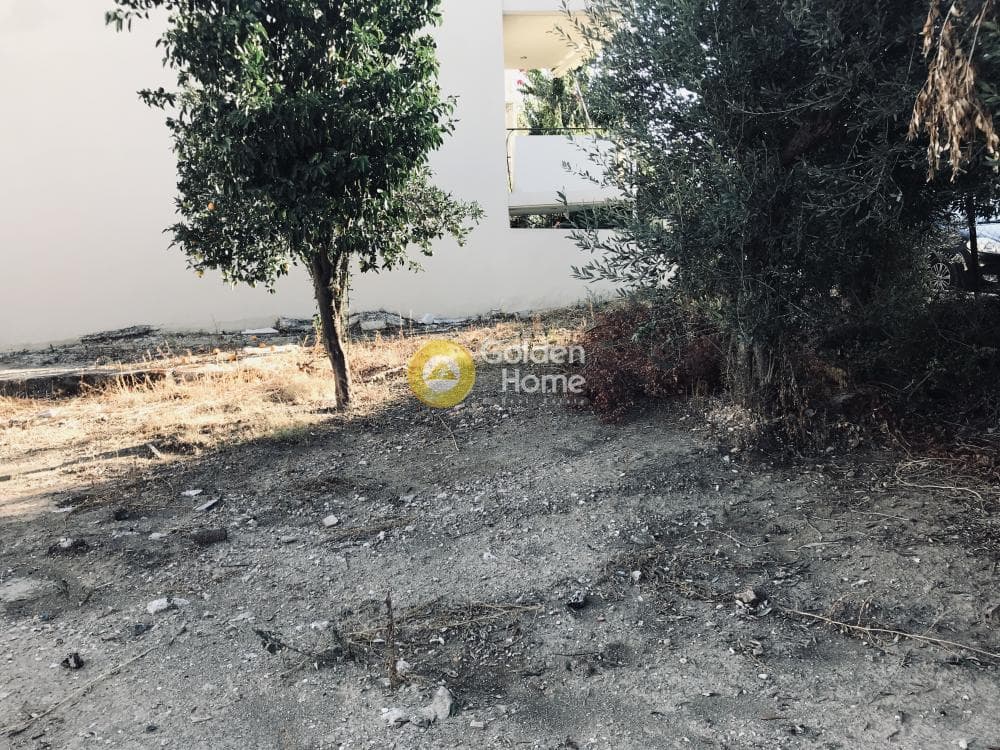 Building Plot in Fouresi, Glika Nera — Photo 3 of 3