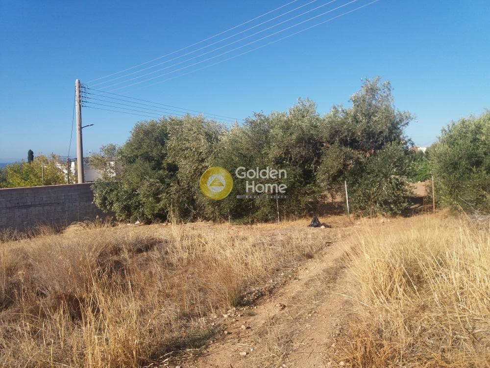 Building Plot in Kalivia, Kalivia Thorikou — Photo 5 of 5