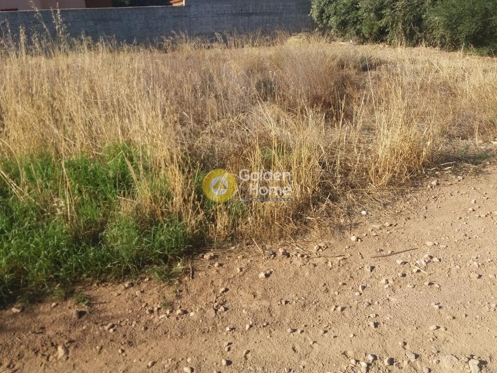 Building Plot in Kalivia, Kalivia Thorikou — Photo 2 of 5