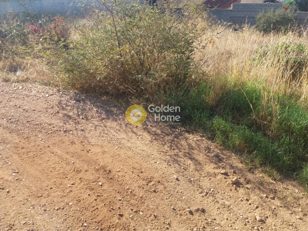 Building Plot in Kalivia, Kalivia Thorikou — Photo 4 of 5