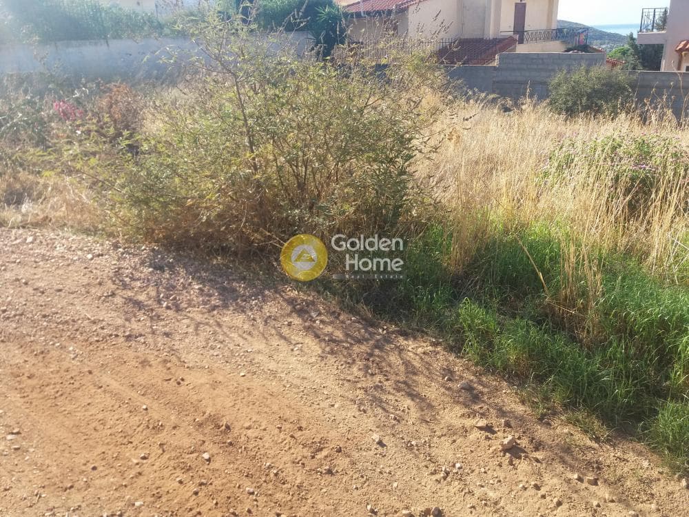Building Plot in Kalivia, Kalivia Thorikou — Photo 1 of 5
