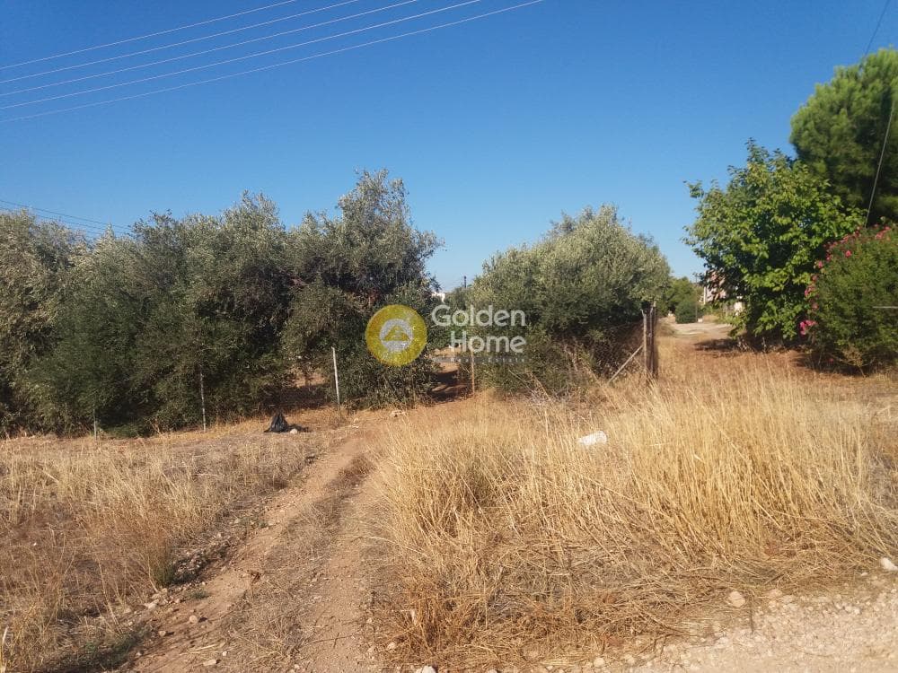 Building Plot in Kalivia, Kalivia Thorikou — Photo 3 of 5