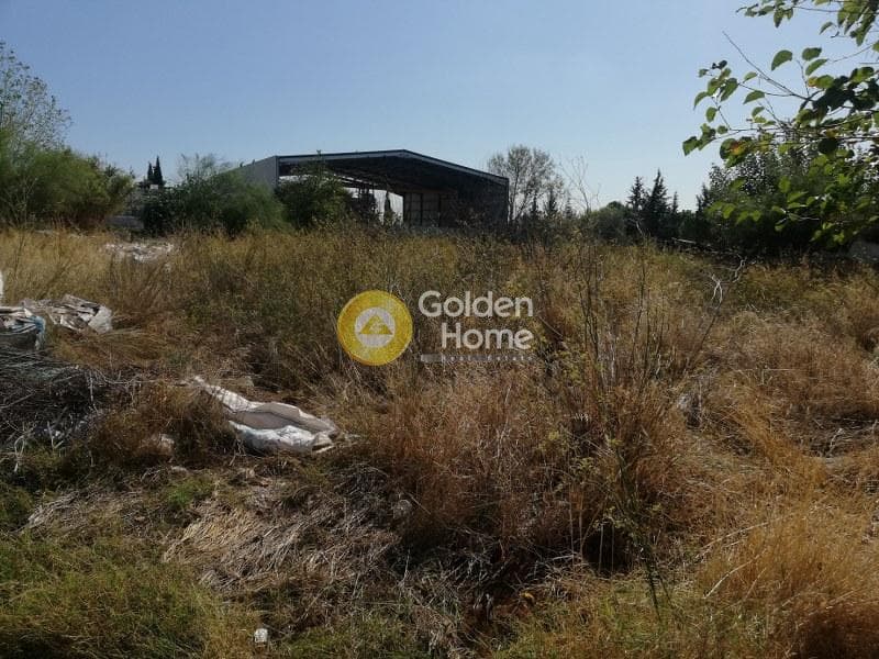 Αγροτεμάχιο στην Μεγάλα Σχοινία Α, Αχαρνές — Φωτογραφία 2 από 4