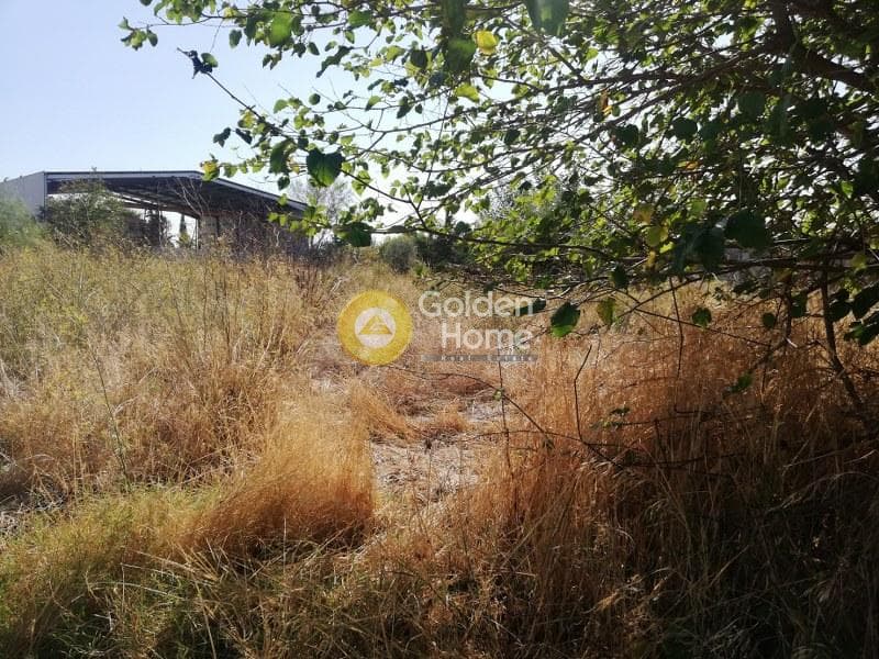 Αγροτεμάχιο στην Μεγάλα Σχοινία Α, Αχαρνές — Φωτογραφία 1 από 4