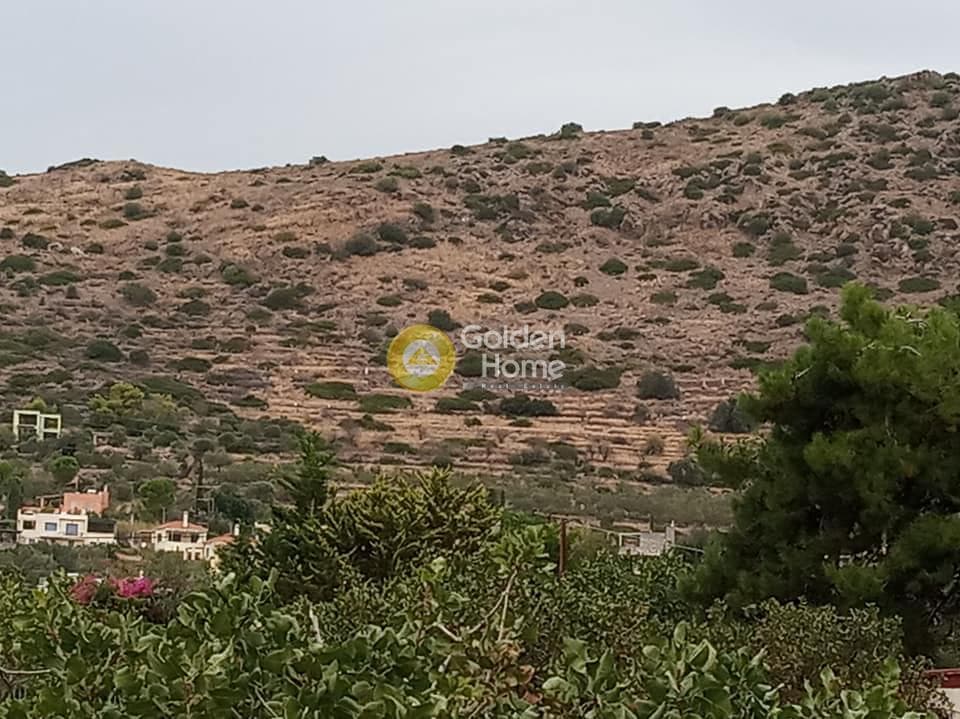 Οικόπεδο στην Καπότηδες, Αίγινα — Φωτογραφία 2 από 4