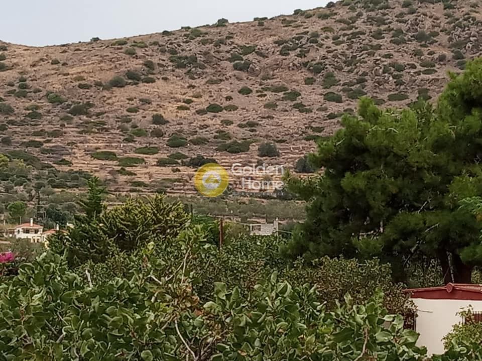 Οικόπεδο στην Καπότηδες, Αίγινα — Φωτογραφία 3 από 4
