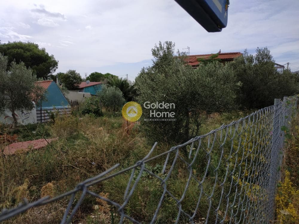 Building Plot in Megala Sxoinia A, Acharnes — Photo 5 of 7