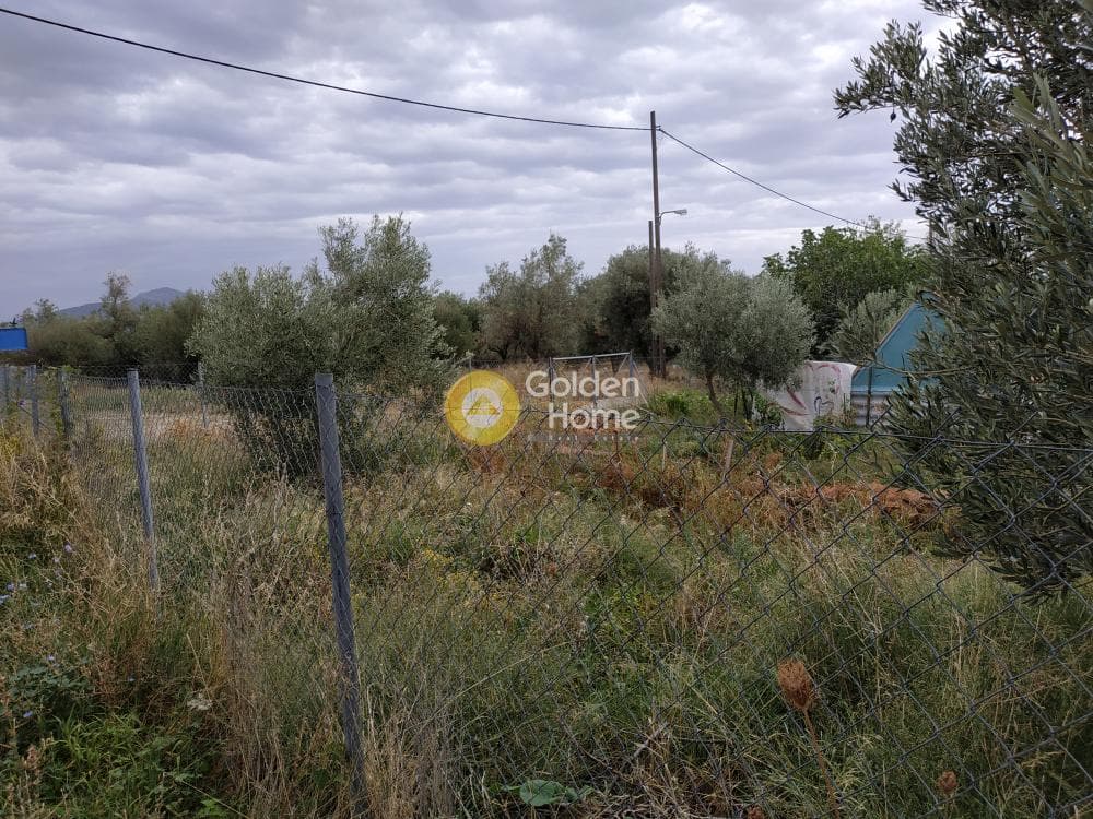 Building Plot in Megala Sxoinia A, Acharnes — Photo 4 of 7