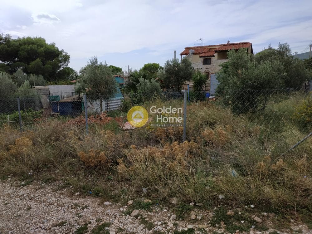 Building Plot in Megala Sxoinia A, Acharnes — Photo 3 of 7