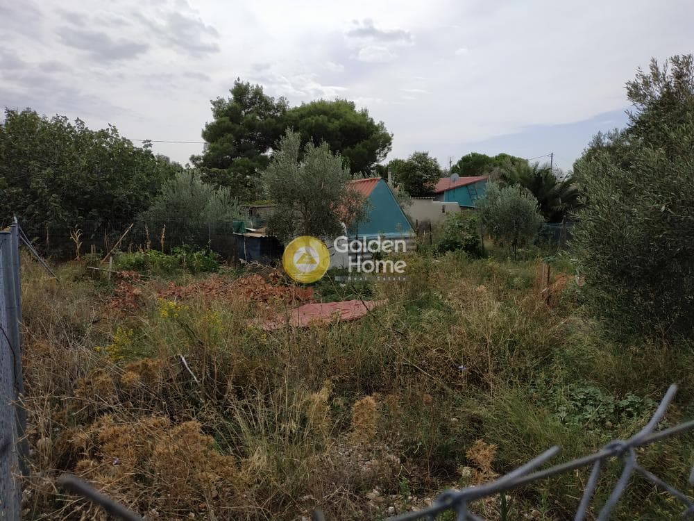 Building Plot in Megala Sxoinia A, Acharnes — Photo 2 of 7
