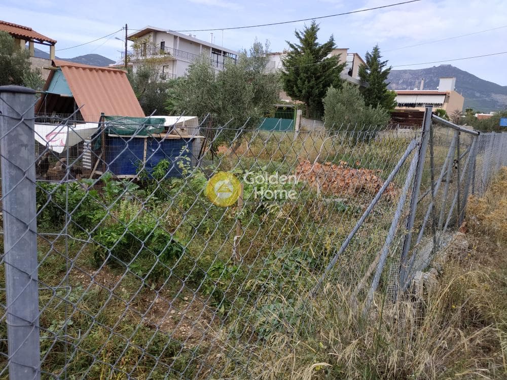 Building Plot in Megala Sxoinia A, Acharnes — Photo 7 of 7