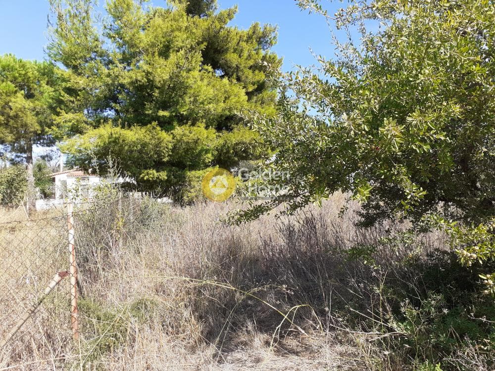 Οικόπεδο στην Μαρίζα, Παλλήνη — Φωτογραφία 1 από 3