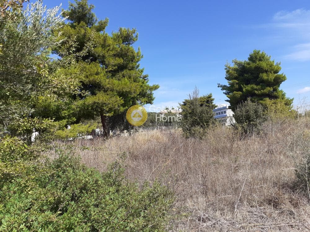 Οικόπεδο στην Μαρίζα, Παλλήνη — Φωτογραφία 2 από 3