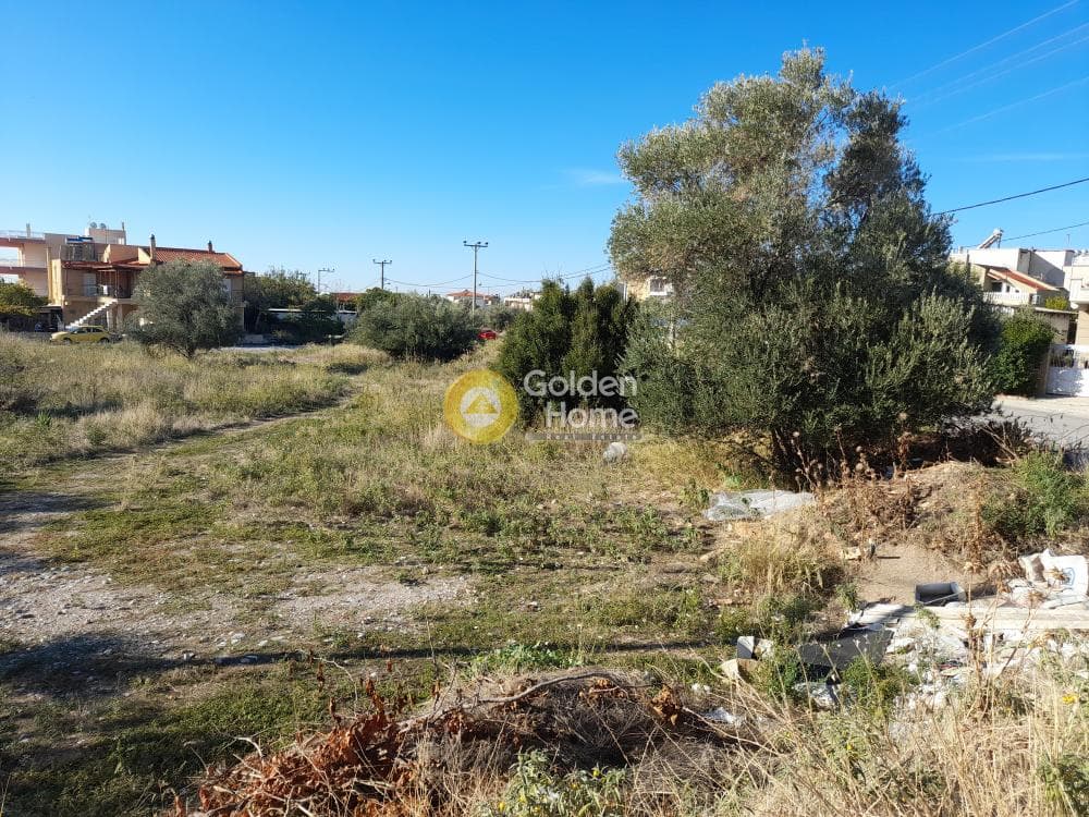 Οικόπεδο στην Μεγάλα Σχοινία Α, Αχαρνές — Φωτογραφία 3 από 4