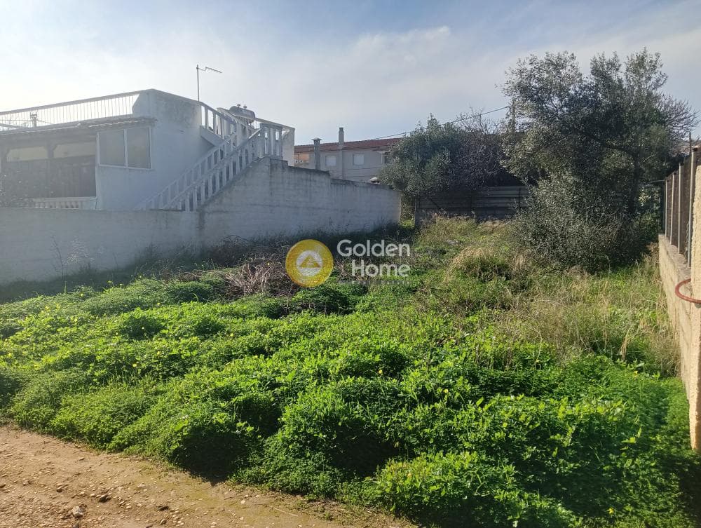 Building Plot in Vorineza, Artemida (Loutsa) — Photo 1 of 4