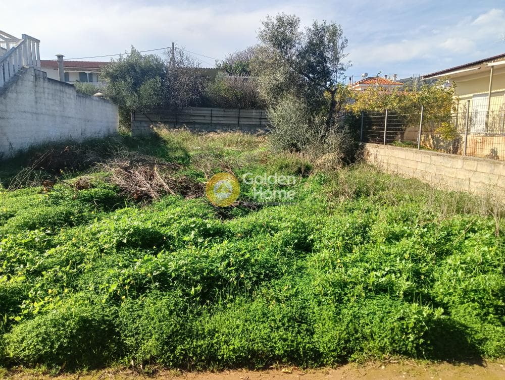 Building Plot in Vorineza, Artemida (Loutsa) — Photo 3 of 4