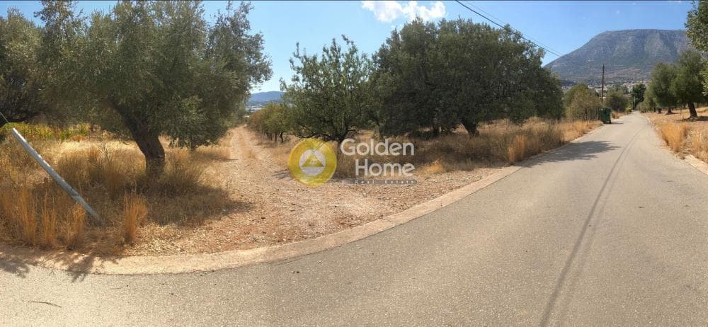 Αγροτεμάχιο στην Αγία Μαρίνα, Παιανία — Φωτογραφία 5 από 7