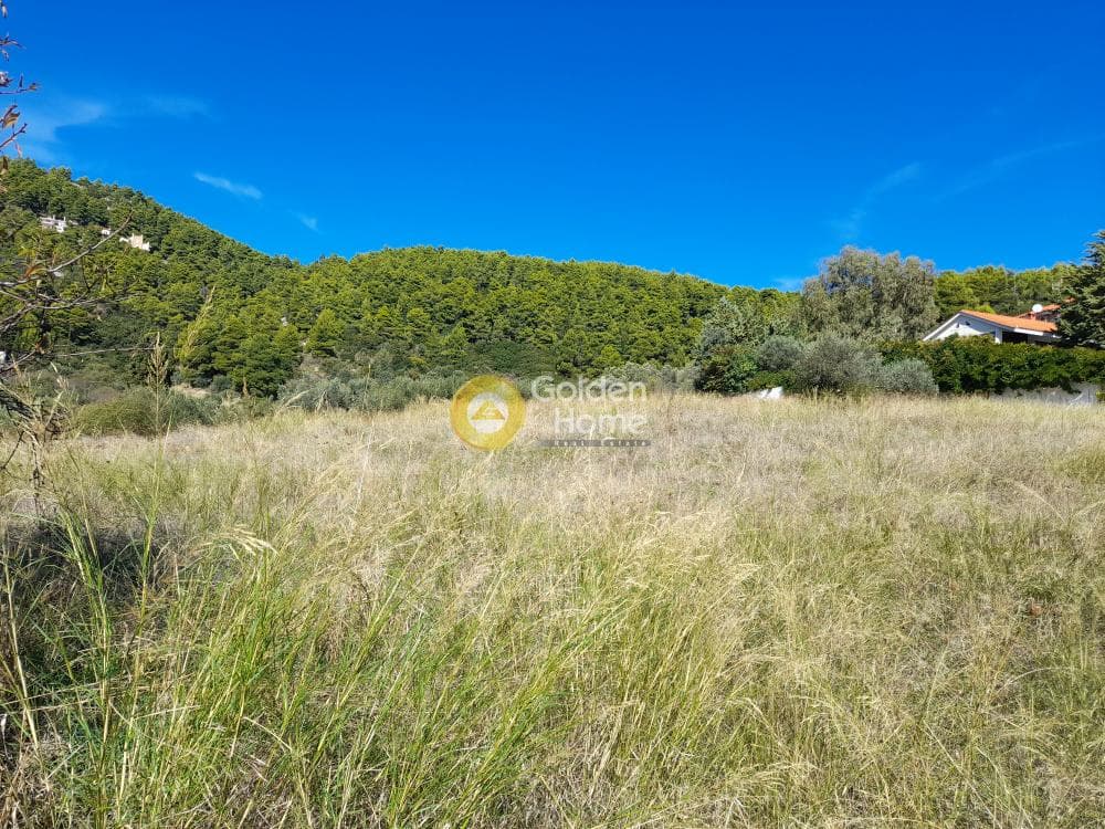 Building Plot in Stathmos Afidnon, Afidnes — Photo 2 of 3