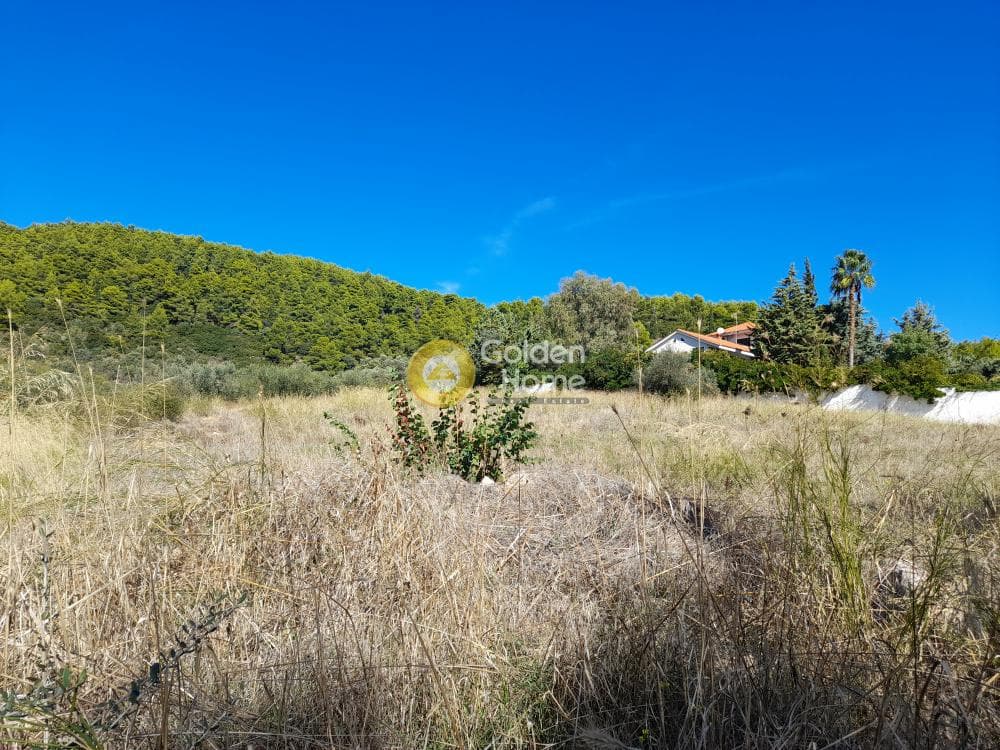 Building Plot in Stathmos Afidnon, Afidnes — Photo 3 of 3