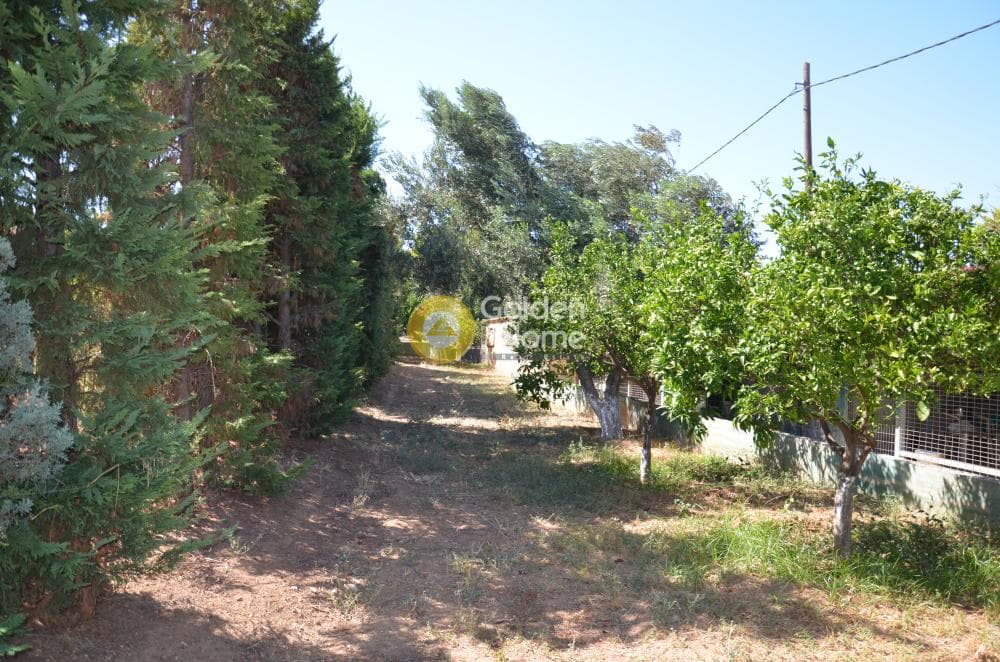 Μονοκατοικία στην Κέντρο, Αρτέμιδα (Λούτσα) — Φωτογραφία 107 από 133