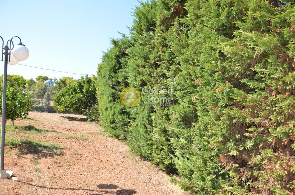 Μονοκατοικία στην Κέντρο, Αρτέμιδα (Λούτσα) — Φωτογραφία 118 από 133