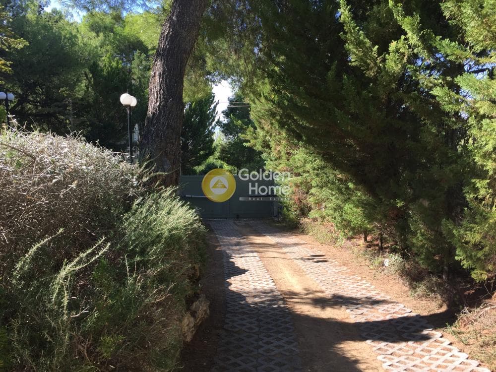 Μονοκατοικία στην Κέντρο, Πεντέλη — Φωτογραφία 75 από 98