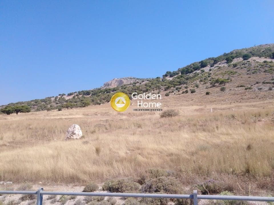 Αγροτεμάχιο στην Αμμουδιές, Ασπρόπυργος — Φωτογραφία 3 από 6