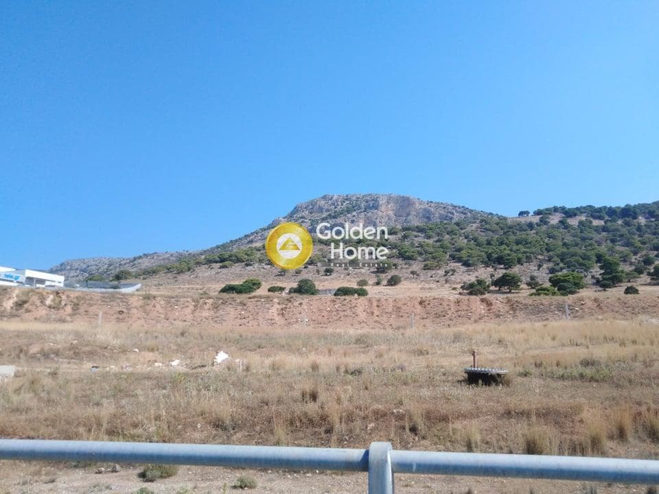 Αγροτεμάχιο στην Αμμουδιές, Ασπρόπυργος — Φωτογραφία 5 από 6