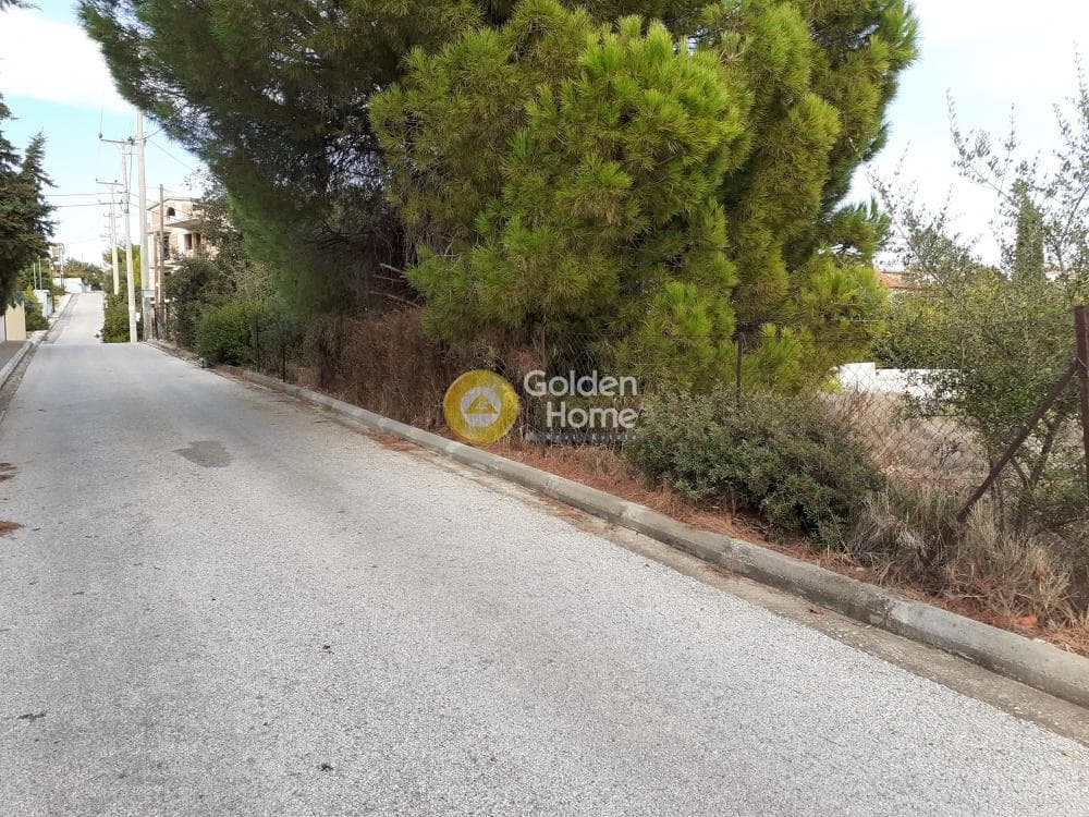 Οικόπεδο στην Πανόραμα, Πικέρμι — Φωτογραφία 3 από 4