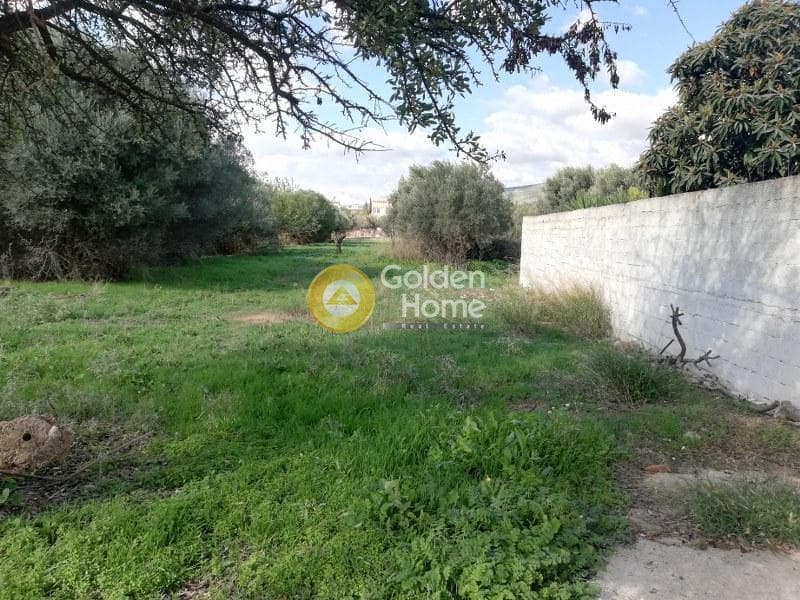 Αγροτεμάχιο στην Μεγάλα Σχοινία Α, Αχαρνές — Φωτογραφία 2 από 4