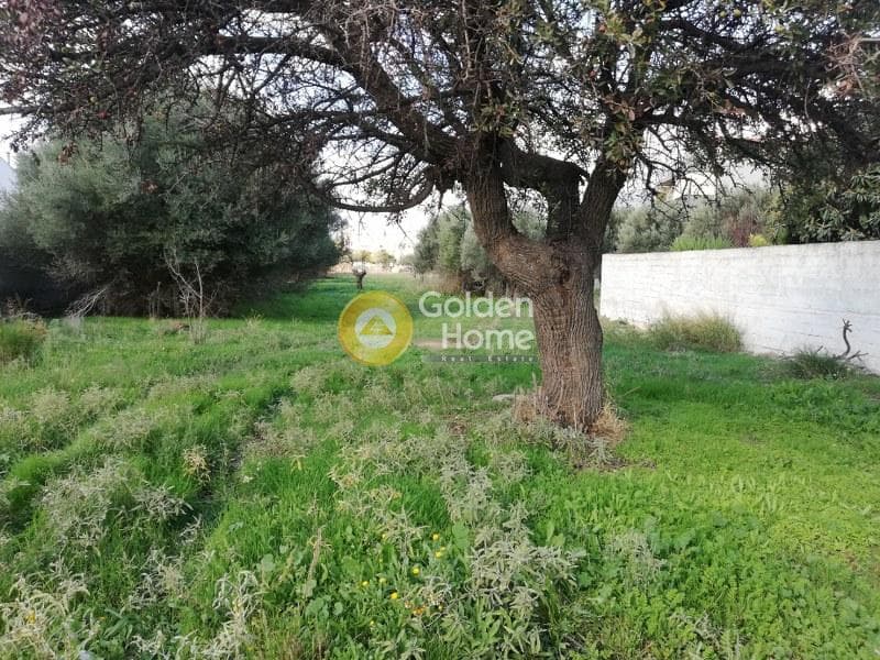 Αγροτεμάχιο στην Μεγάλα Σχοινία Α, Αχαρνές — Φωτογραφία 3 από 4