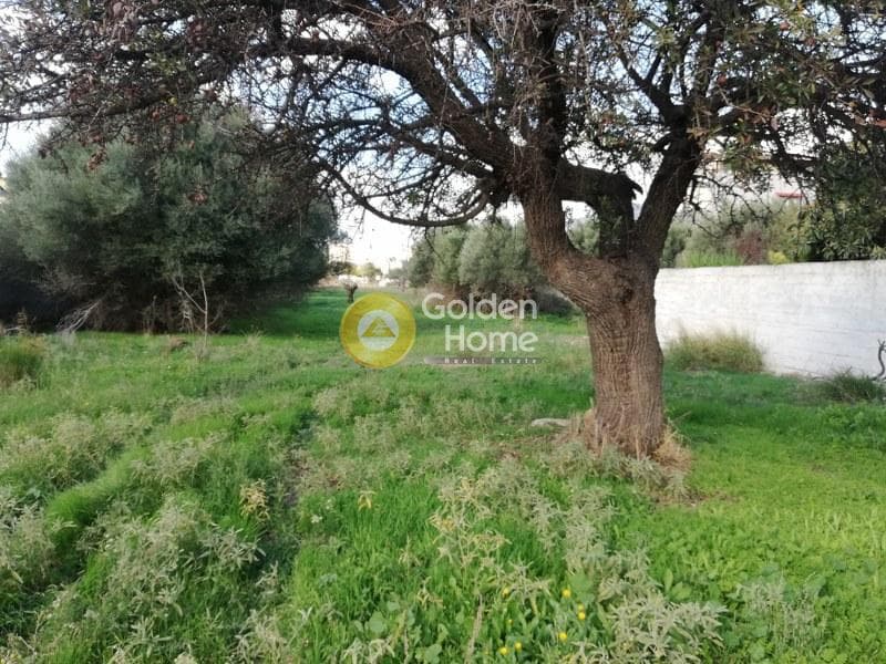 Αγροτεμάχιο στην Μεγάλα Σχοινία Α, Αχαρνές — Φωτογραφία 4 από 4