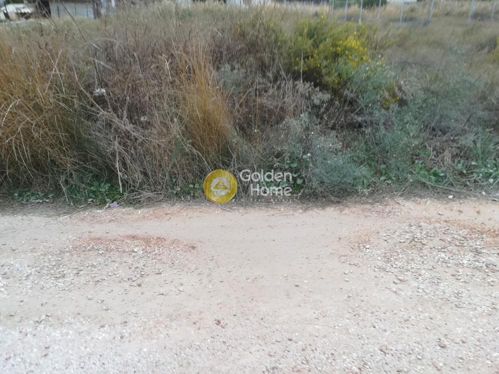 Building Plot in Alikes - Lakka, Anavissos — Photo 3 of 5