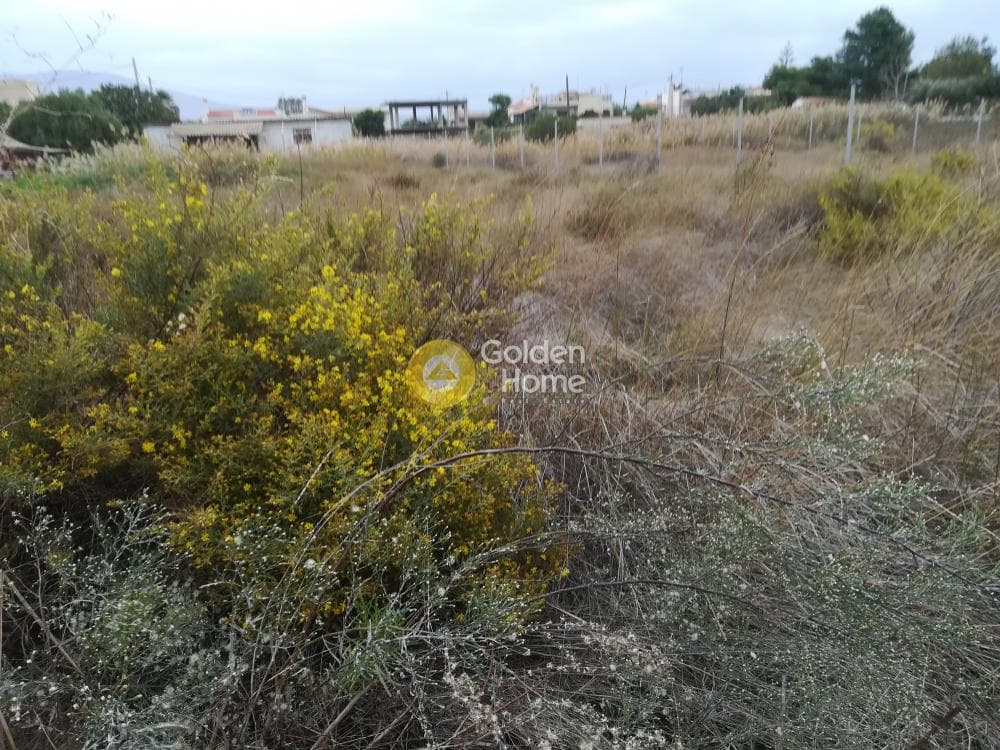 Building Plot in Alikes - Lakka, Anavissos — Photo 1 of 5