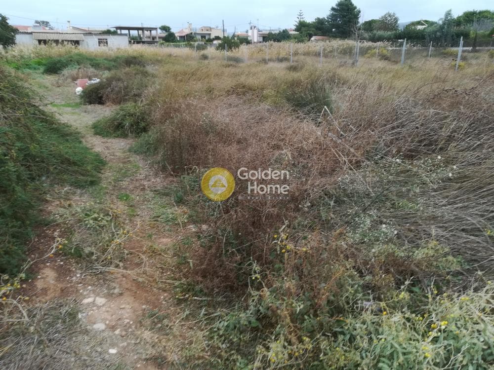 Building Plot in Alikes - Lakka, Anavissos — Photo 2 of 5
