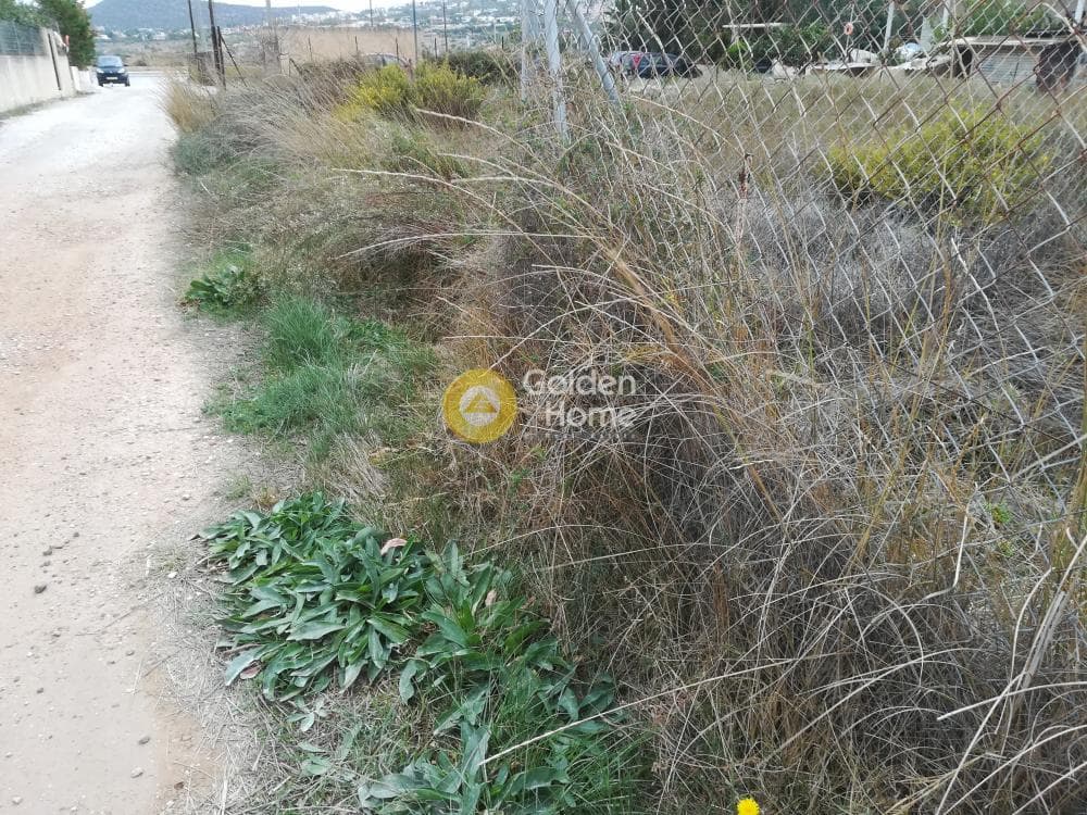 Building Plot in Alikes - Lakka, Anavissos — Photo 5 of 5
