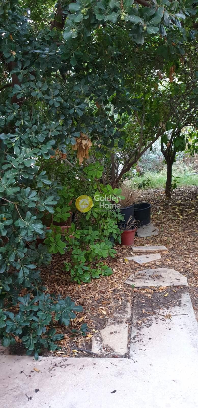 Μονοκατοικία στην Άνω Ελληνικό, Ελληνικό — Φωτογραφία 7 από 21