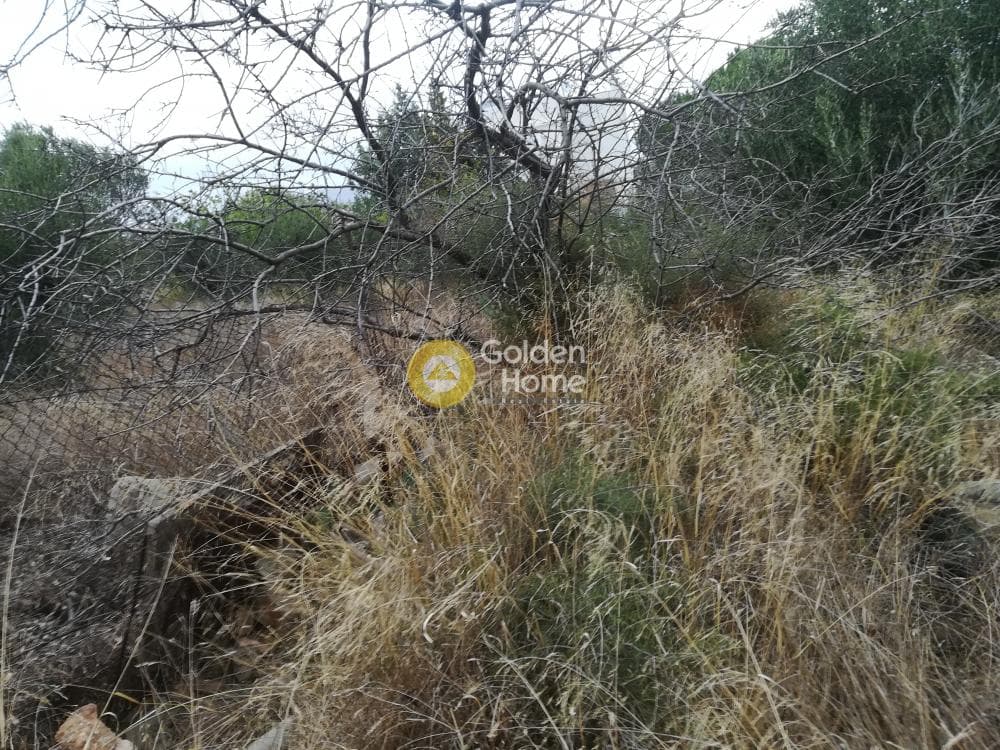 Building Plot in Anavyssos Center, Anavissos — Photo 2 of 12
