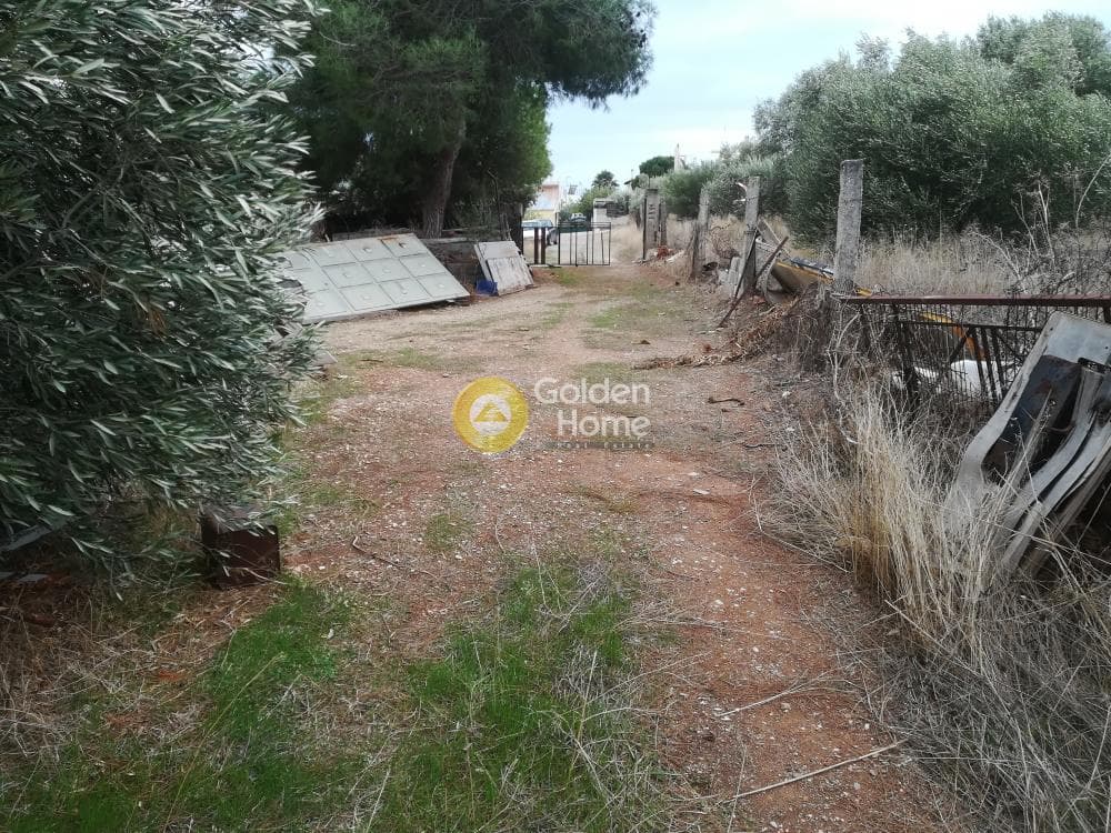 Building Plot in Anavyssos Center, Anavissos — Photo 5 of 12