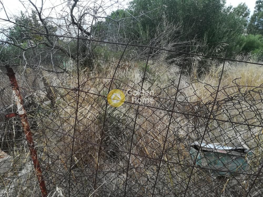Building Plot in Anavyssos Center, Anavissos — Photo 6 of 12