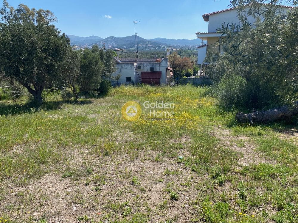 Building Plot in Anavyssos Center, Anavissos — Photo 8 of 12