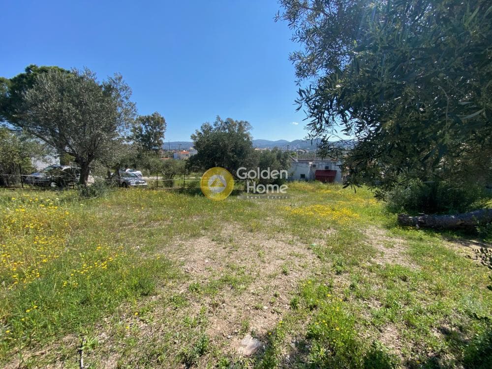 Building Plot in Anavyssos Center, Anavissos — Photo 12 of 12