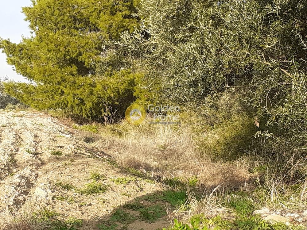 Parcel in Ano Vakalopoulo, Pikermi — Photo 4 of 4