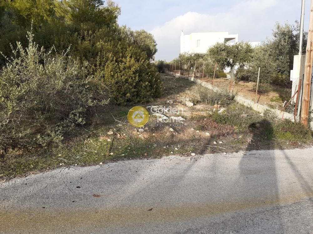 Parcel in Ano Vakalopoulo, Pikermi — Photo 2 of 4