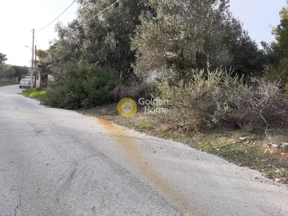 Parcel in Ano Vakalopoulo, Pikermi — Photo 3 of 4